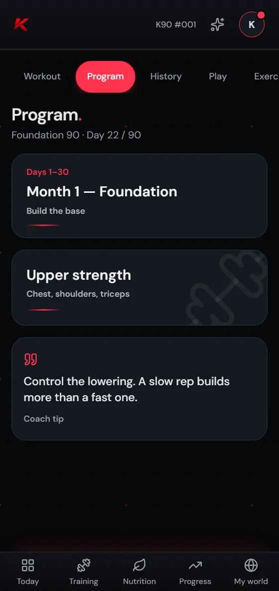 A 90-day upper and lower training program